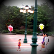 img_0263b img_0263b