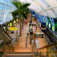 img_0294b