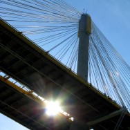 img_0530