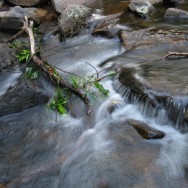 img_2407