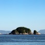 IMG_4953