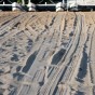 IMG_5018