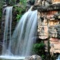 IMG_5262