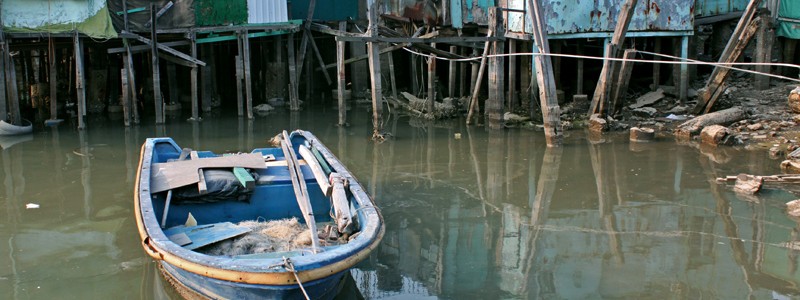 IMG_6335 IMG_6335