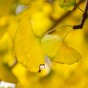 IMG_7725