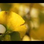 IMG_7823