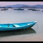 IMG_0265