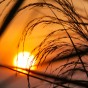 IMG_5785