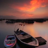 Untitled-1